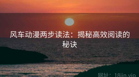 风车动漫两步读法：揭秘高效阅读的秘诀