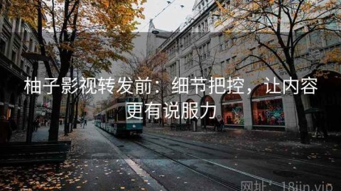 柚子影视转发前：细节把控，让内容更有说服力
