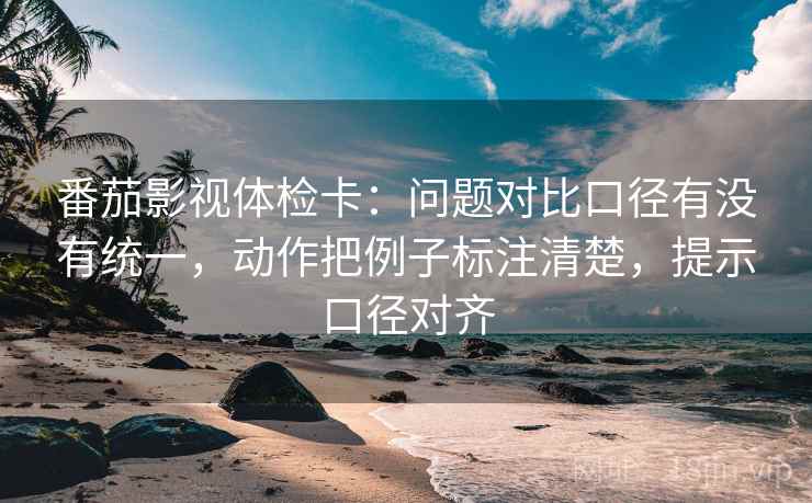 番茄影视体检卡：问题对比口径有没有统一，动作把例子标注清楚，提示口径对齐